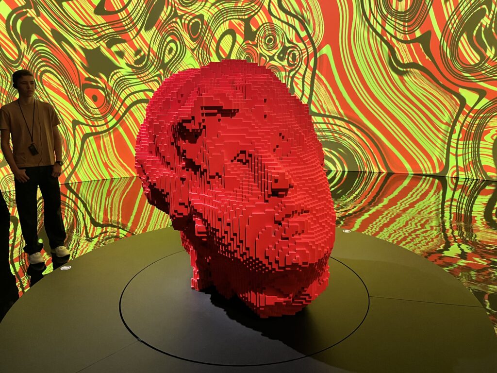 Ausstellung Digital by nature Obsidian 10